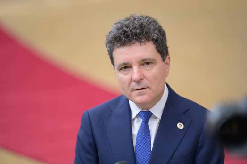 Video Nicușor Dan, asked by a German journalist what measures Romania to counteract the Russian interference