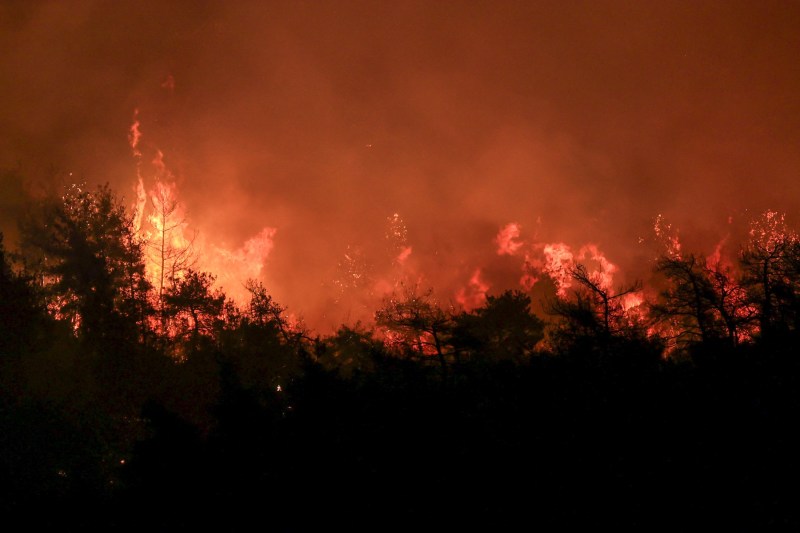 Video apocalyptic scenes in Turkey, which fights for forest fires. The warning of the authorities: