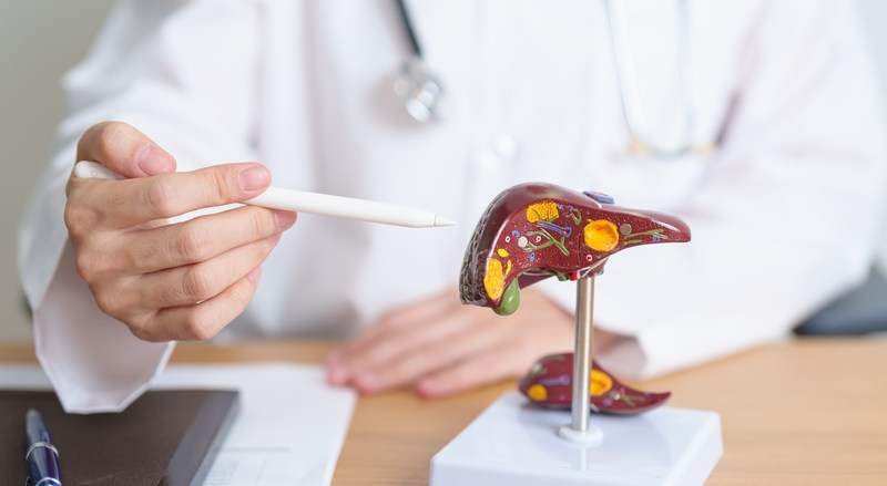 An unhealthy liver means liver disease and metabolic disorders, following diabetes, immune or genetic problems. Photo: Shutterstock