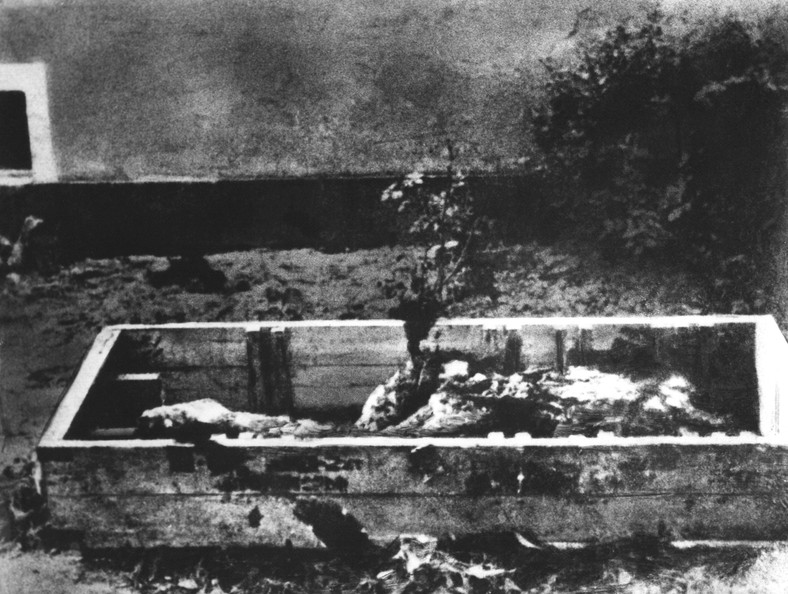 A photo probably depicting the charred body of Adolf Hitler in a wooden chest, April 1945 in Berlin.