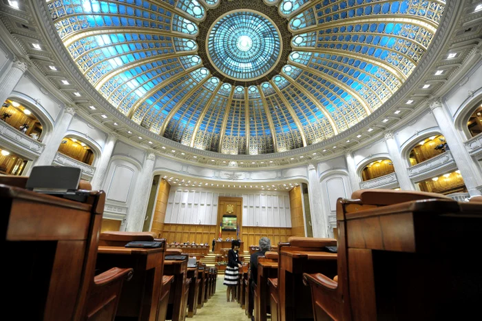 The scenario launched by Caramitru refers to a new PSD-gold government / Photo source: Agerpres