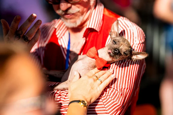 The dog that obtained the second place photo: x