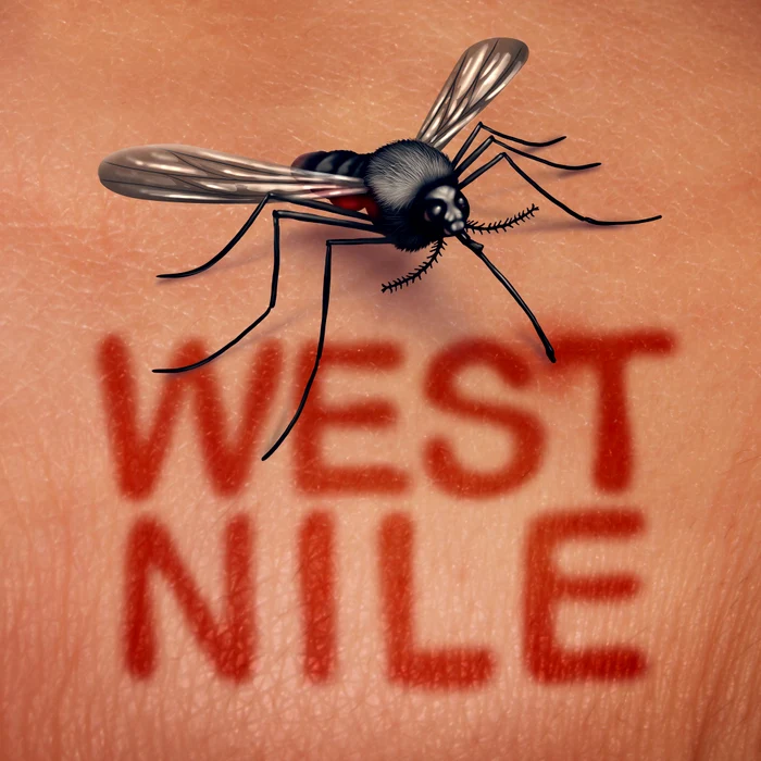 Confirmed cases of West Nile infection.