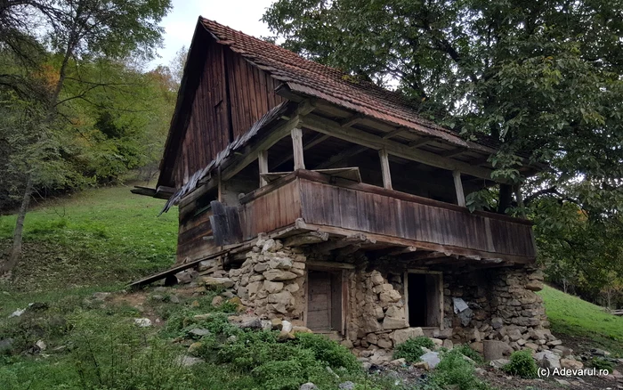 Old house. Photo: Daniel Guță. TRUTH
