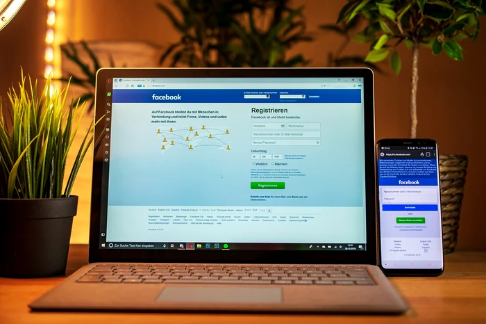 Laptop, phone, facebook, pots, plants
