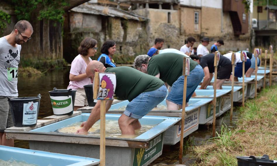 The world championships in gold rinsing are starting