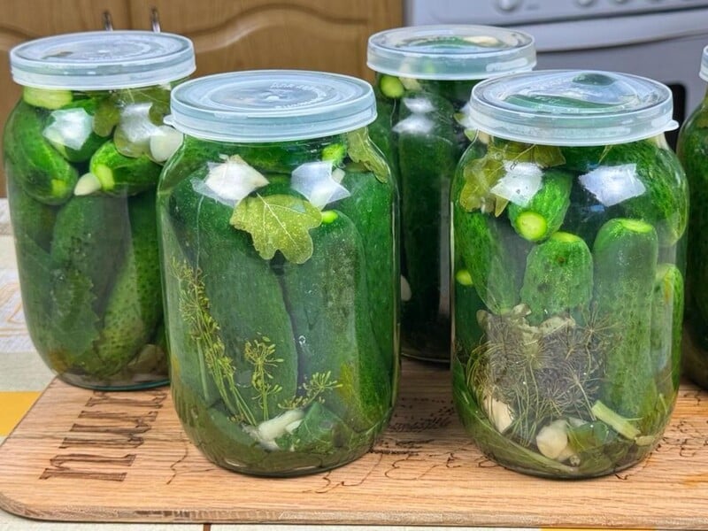 Add this to each jar - and cucumbers will stand until winter. Proven recipe without vinegar, aspirin and sugar