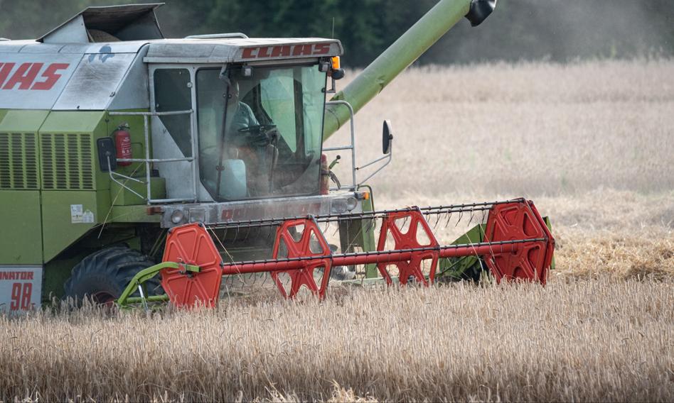 This year's summer in the fields is