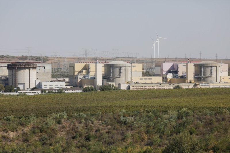 Fire alarm at the Cernavoda nuclear power plant. Firefighters intervene