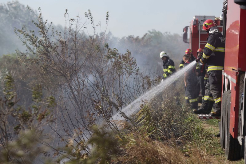 Firefighters intervene to extinguish a vegetation fire (photo: Inquam Photos / Octav Ganea)
