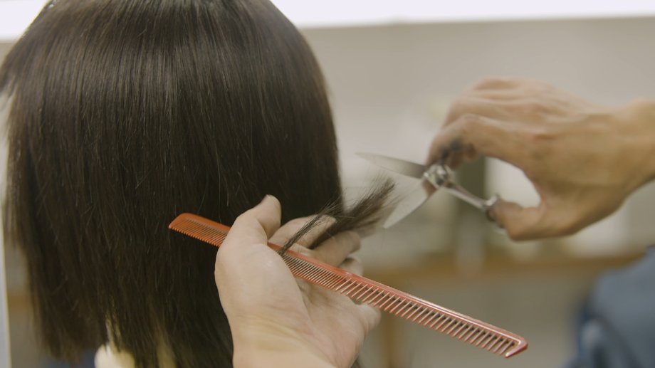 Hairdressing scissors differ in price and quality
