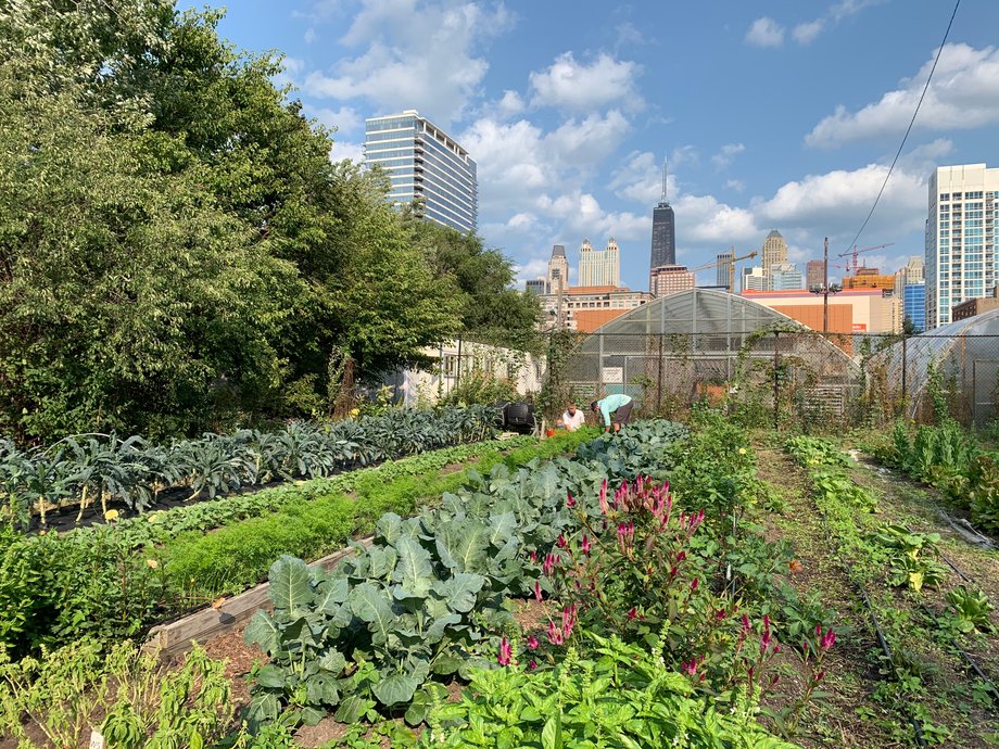 Municipal Social Garden in Chicago