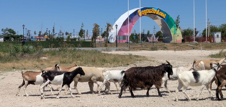 Entrance to the illegal amusement park in Moldova financed by Moscow