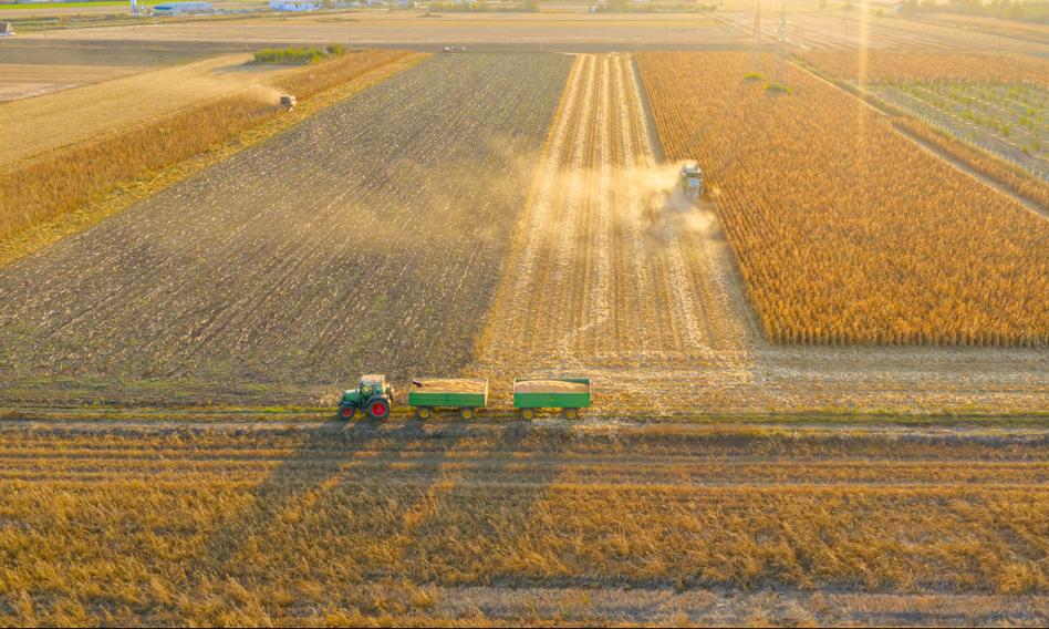 No sale of state agricultural real estate? Here is the president's project