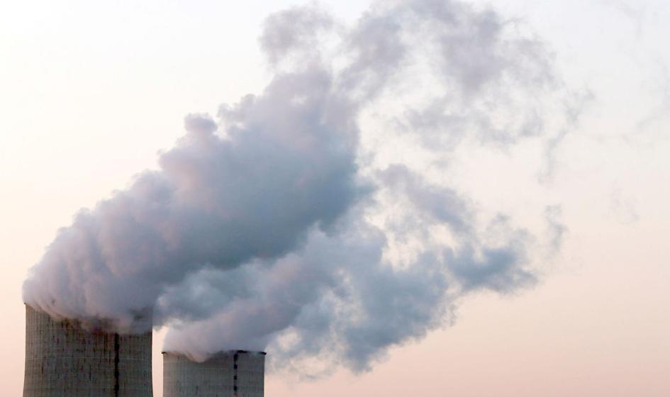 "Attention of jellyfish! Stop". The largest nuclear power plant in France has stopped working