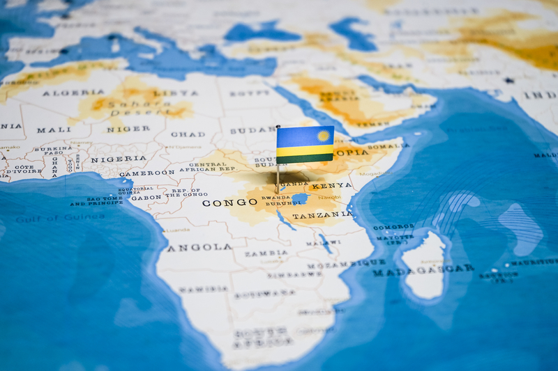 The first expelled migrants from the US have arrived in Rwanda based on an agreement that provides for the transfer of up to 250 people