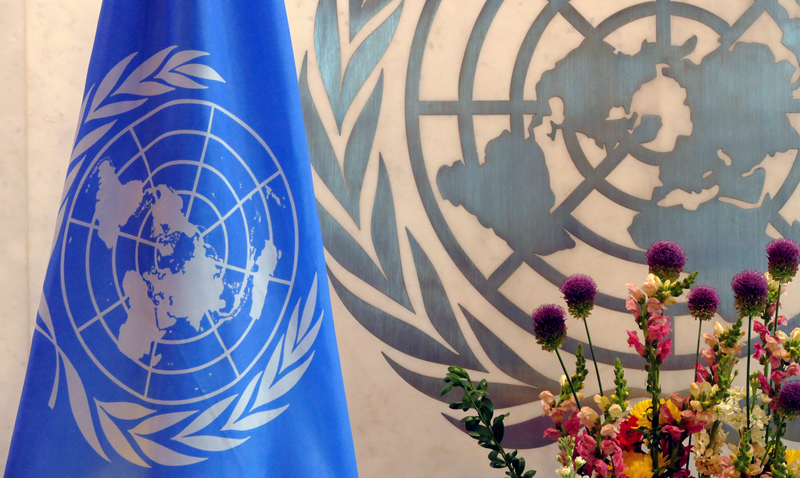 A Romanian was appointed in a prestigious UN Commission