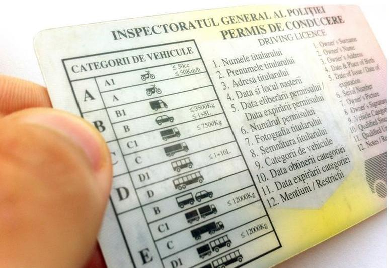 Driving license, photo: Hotnews