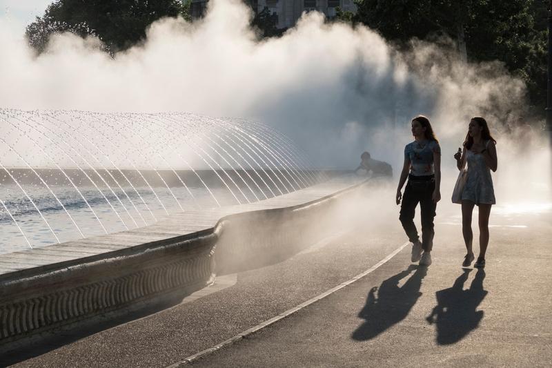 Corculus in Bucharest, photo: Alex Ramsay / Alamy / Alamy / Profimedia