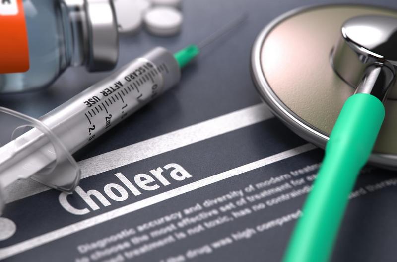 Holera, Photo: Illia Greatnikov / Alamy / Alamy / Profimedia