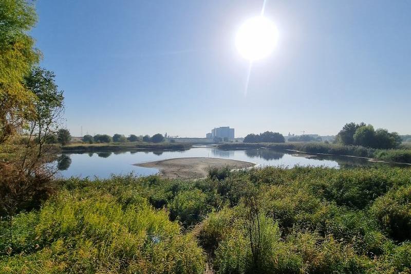 Delta Vacaresti, photo: Hotnews / Catiușa Ivanov