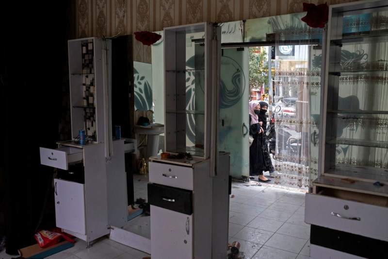 Taliban hunt a vital source of income for many women in Afghanistan.