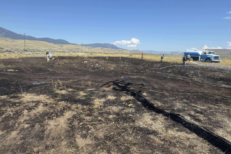 PHOTO A Fish Licked up in the sky caused a fire and a current breakdown