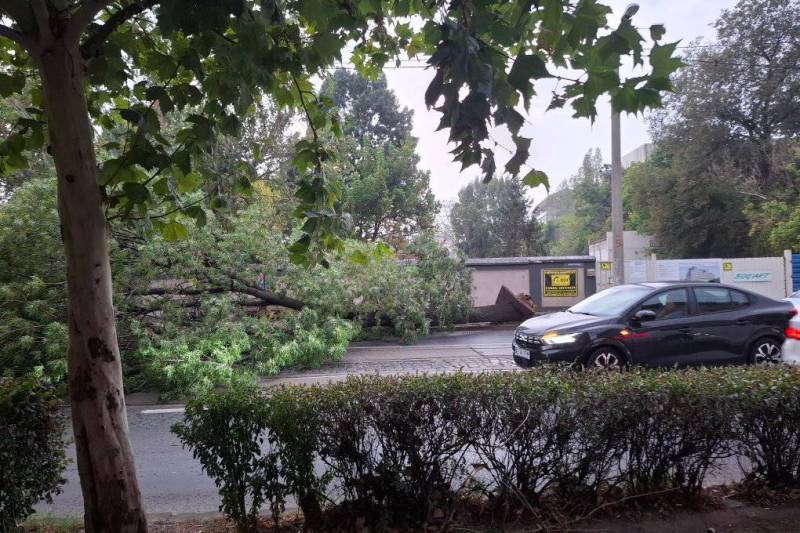 Photo what Bucharest looks like after the storm. Images of fallen trees / several stb lines were blocked and one person was injured