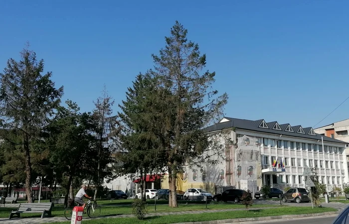 From Balș City Hall should leave most people at home: Alina Mitran