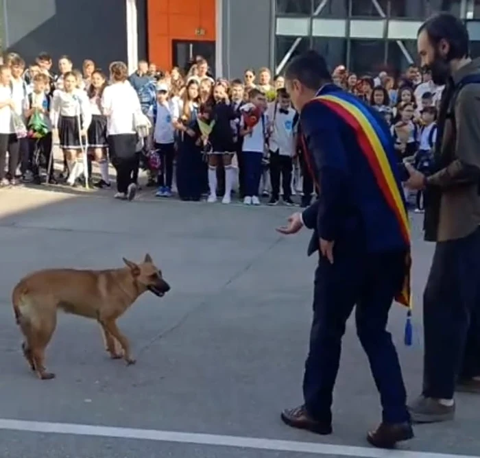 Mihai Chirica failed to get closer to the photo dog: video capture