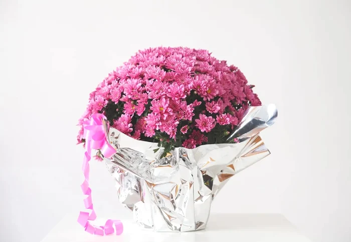 Flower pots with aluminum foil for healthy plants photo gardening know How