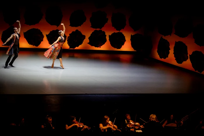 Photo: Petrică Tanase / George Enescu Festival