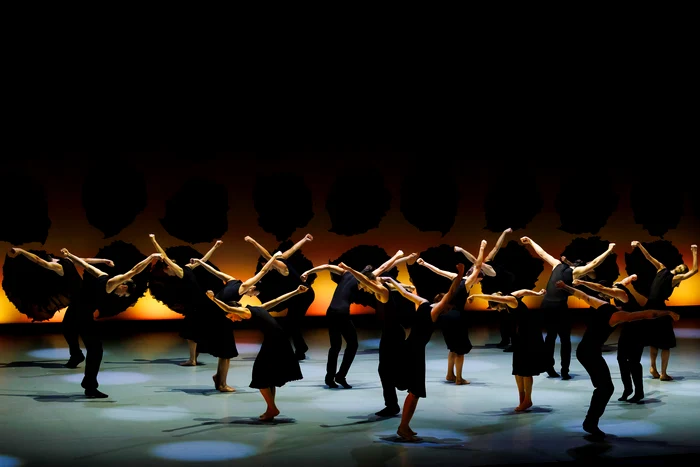 Photo: Petrică Tanase / George Enescu Festival