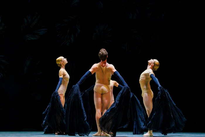 Photo: Petrică Tanase / George Enescu Festival