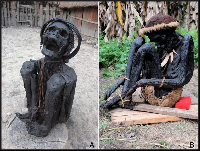 10,000-year-old mummies from Papua-Indonesia, preserved by smoking photo PNAS org