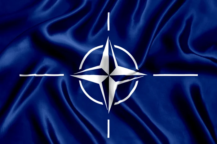 Estonia asked to activate Article 4 of NATO Photo Shutterstock Treaty
