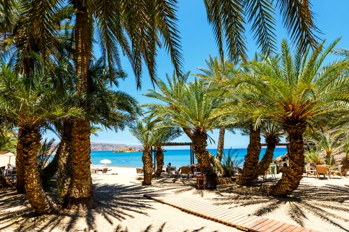 Beach Vai from Crete Greece Photo Shutterstock JPG