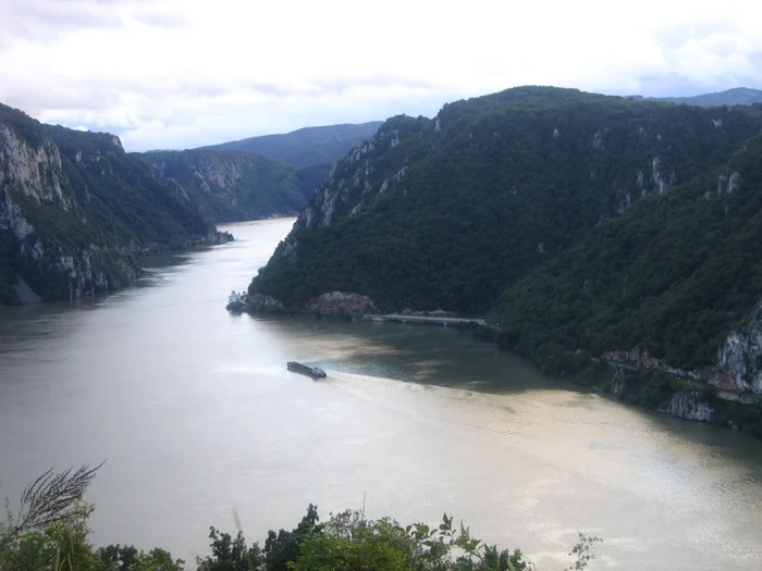 The Wikipedia Photo Danube Defile