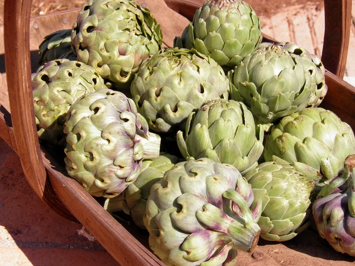 JPEG artichoke