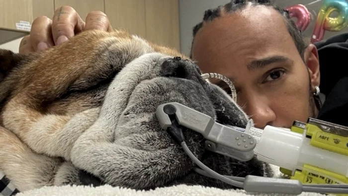 Roscoe and Lewis, tied to a strong friendship