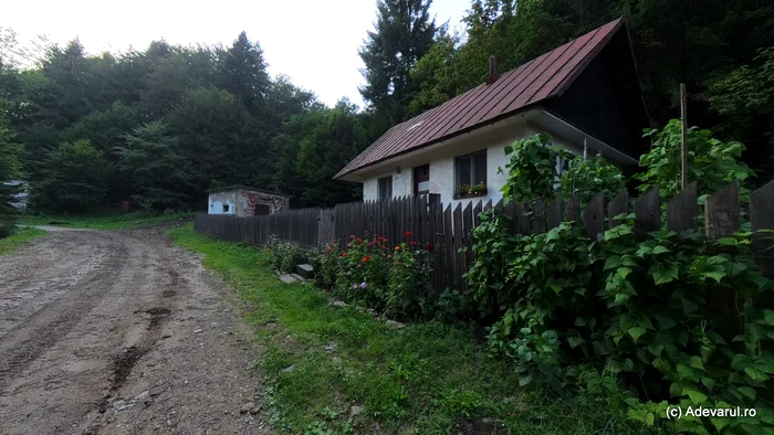 On the Rusciței Valley, at the foot of the Buli Peak. Photo: Daniel Guță