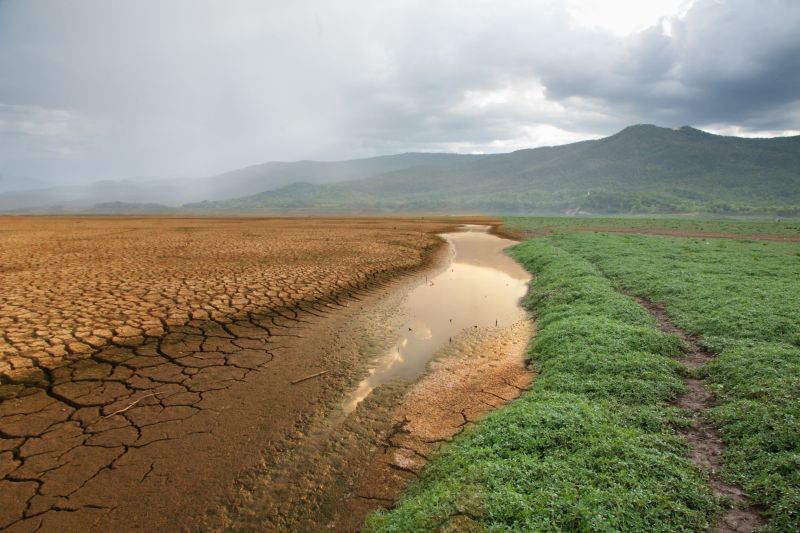 EU states have misunderstandings on several essential commitments related to the climatic crisis, two months before the start of the great summit in Brazil