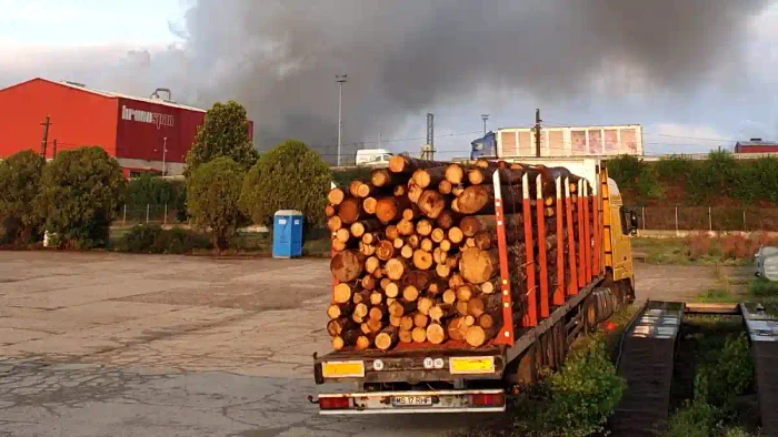 Two of the victims have burns on about 20% of the body. Photo: Unirea newspaper