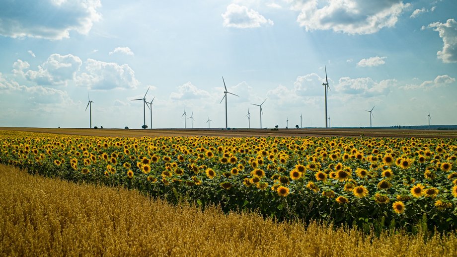 Wind farm for Profbud housing investments