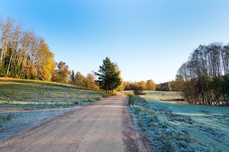 Weather forecast for the next month: Two weeks more colder than normal
