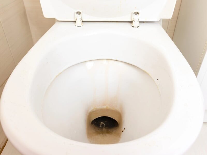 This cheap solution will clean your toilet until it shines! Just fill it up for a few hours