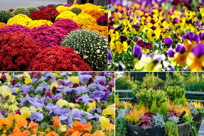 Perfect autumn plants resistant to cold Millcreek Gardens collage