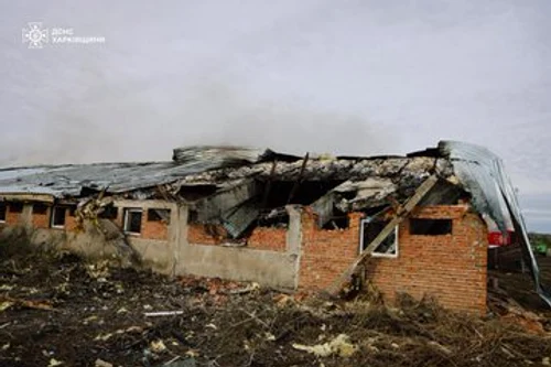 Russians killed 13,000 pigs in a photo drone attack: X