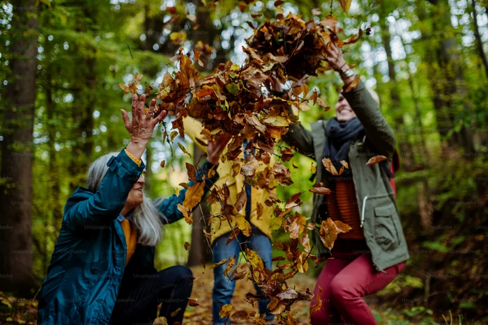 People in the woods, in nature, enjoying autumn and UNSPLAS photo energy