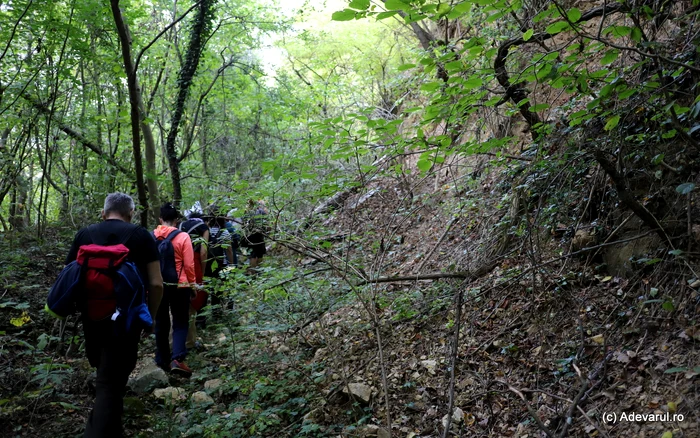 Nature offers many reasons to explore it in the fall. Photo: Daniel Guță Adevărul